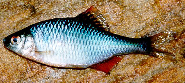 nachytano.cz